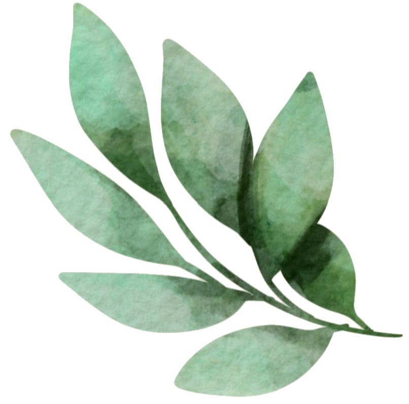 ein grünes Blatt - Selbstheilungskräfte